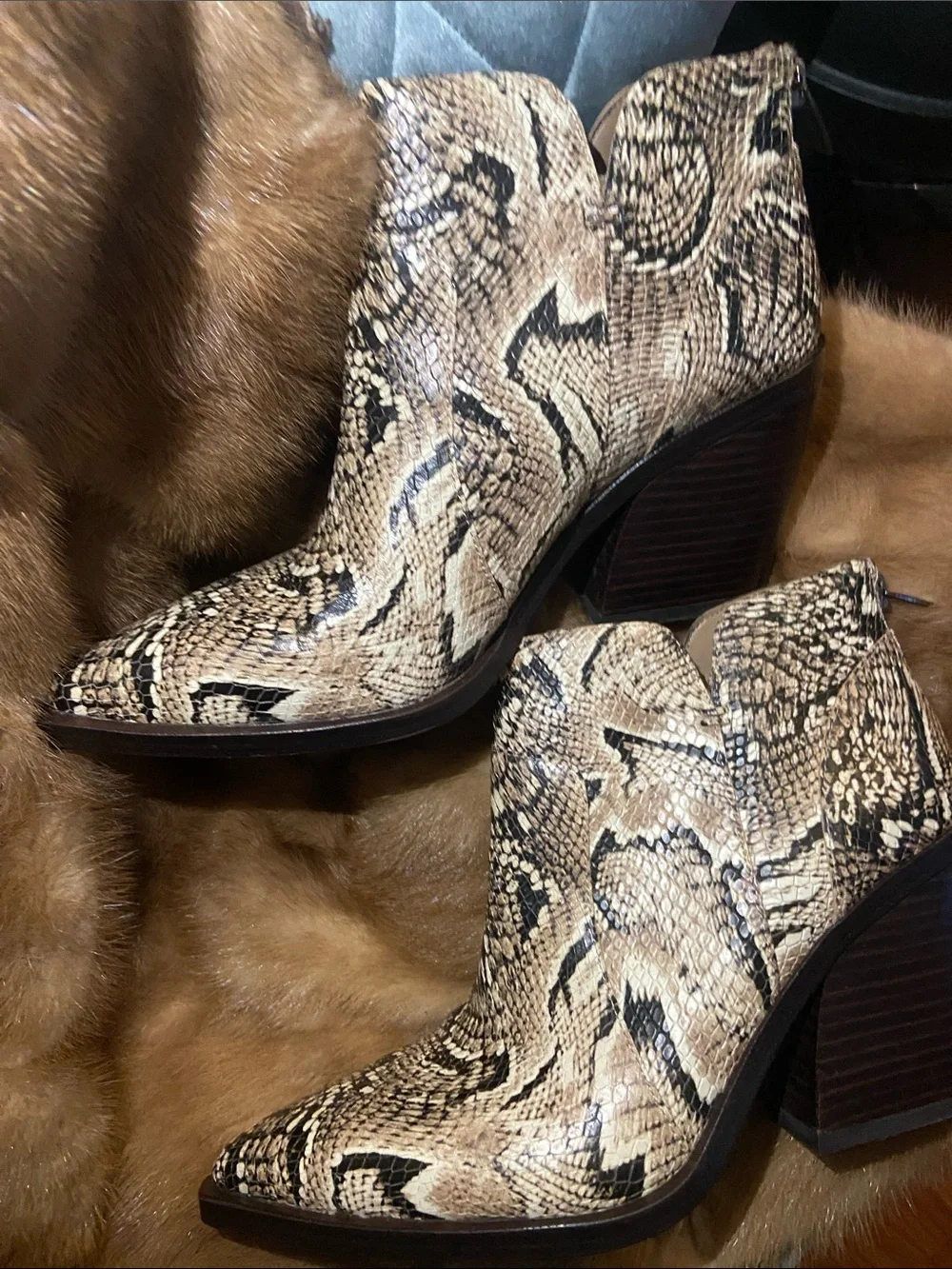 Vince Camuto snake print